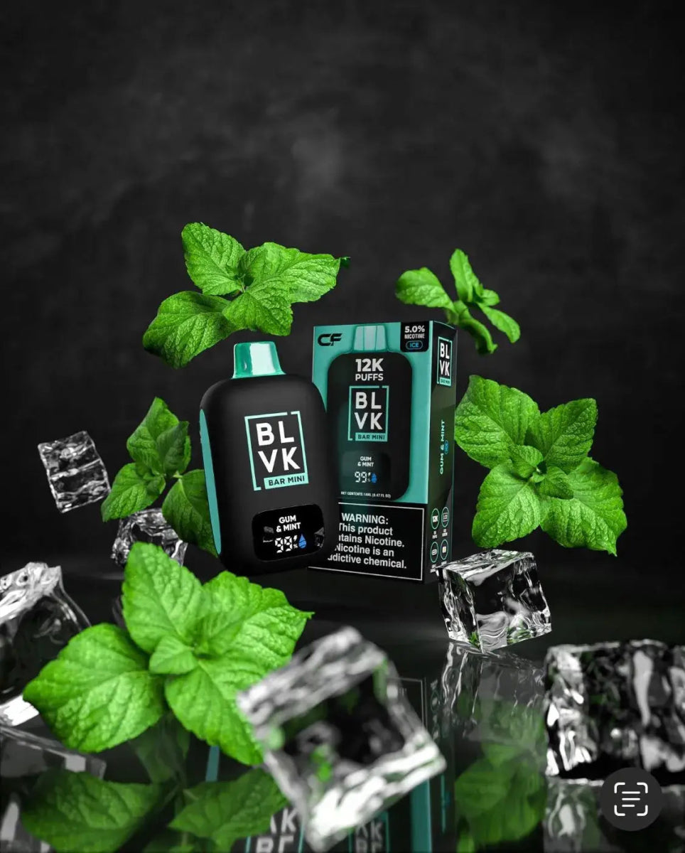 BLVK 12000 Mini - Coffee and Vape Shop South Africa
